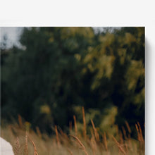 Carregar imagem no visualizador da galeria, Quadro em Madeira Natural